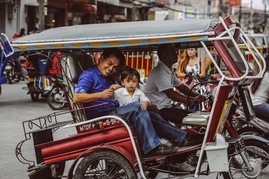 Local Insights: Navigating Public Transport