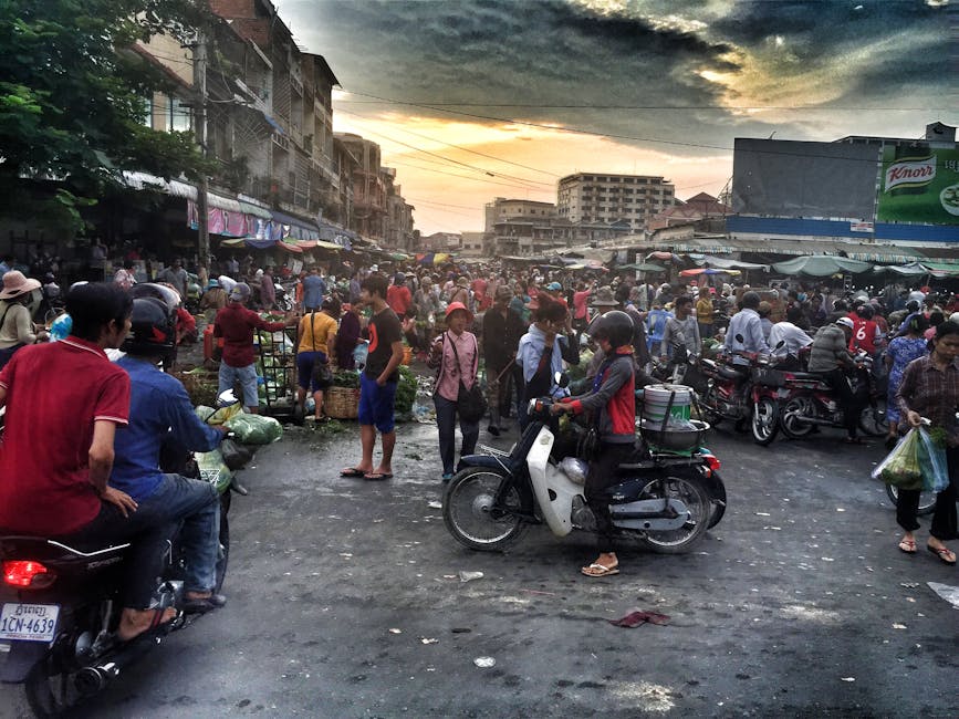 Local Insights: Navigating Public Transport