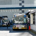 Local Insights: Navigating Public Transport