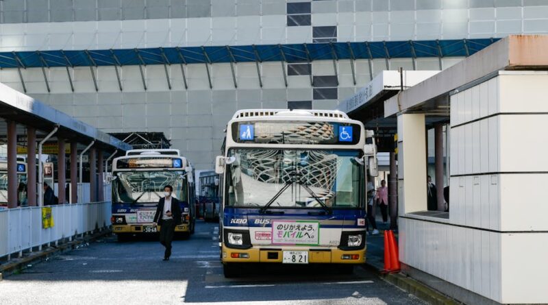 Local Insights: Navigating Public Transport