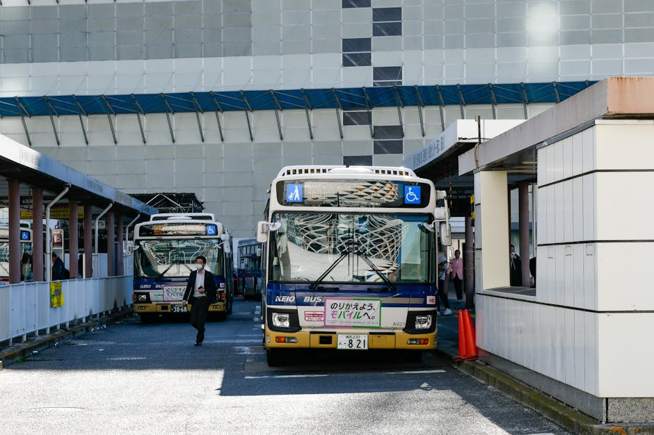 Local Insights: Navigating Public Transport